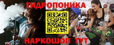 шишки Баксан