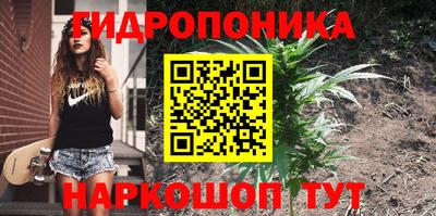бошки Аша