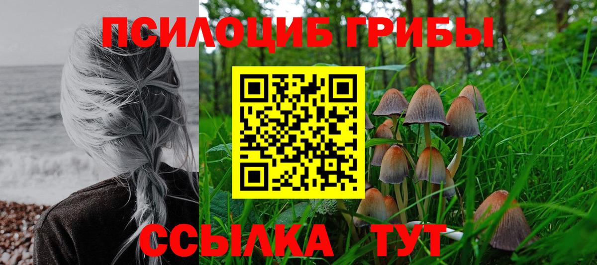 Галлюциногенные грибы прущие грибы  Вход с VPN  Кольчугино 